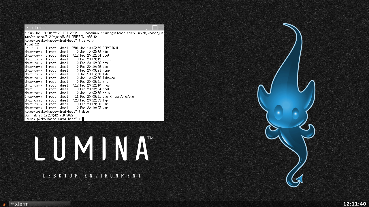DragonFly BSD screenshot 1
