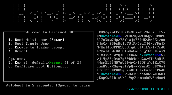 HardenedBSD screenshot 1